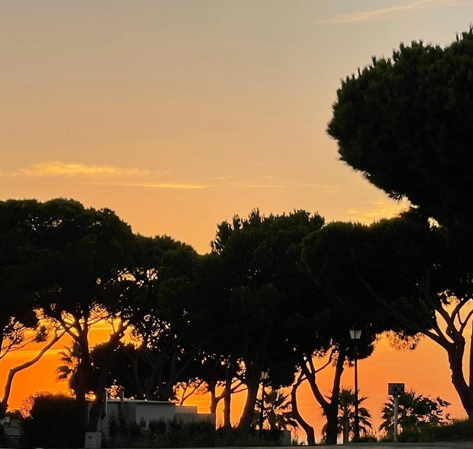 Scarlet'S Place - 1 Bed Victory Village Quinta Do Lago - Beach, Nature, Lakes Екстер'єр фото